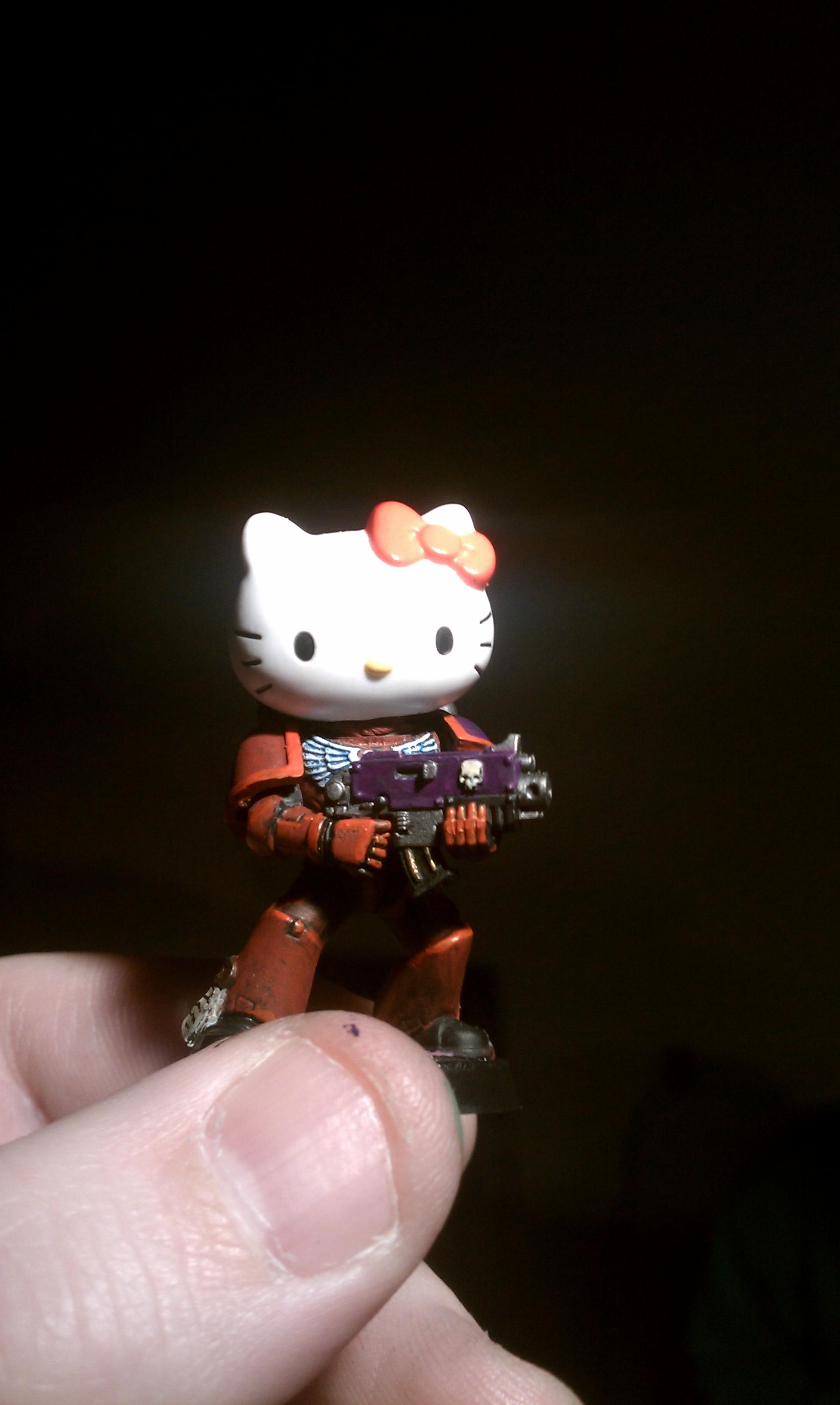 Conversion Hello  Kitty  Space Marines Brother Catticus 